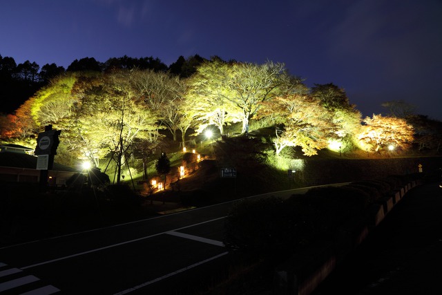 夜の比叡山ドライブウェイ