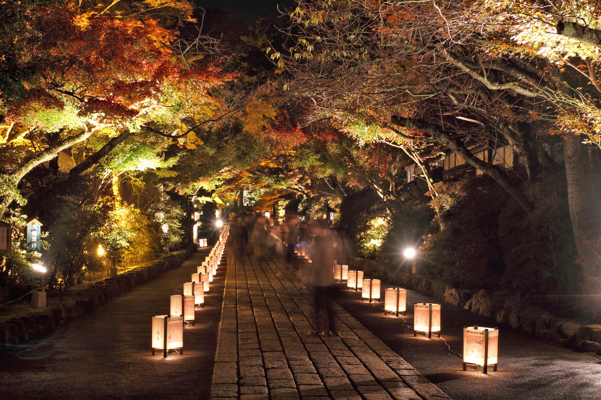 夜景 花火 イルミ 夜の石山寺 参道 壁紙19x1280 壁紙館