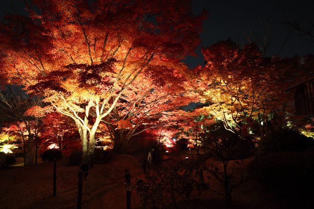 紅葉の京都・将軍塚