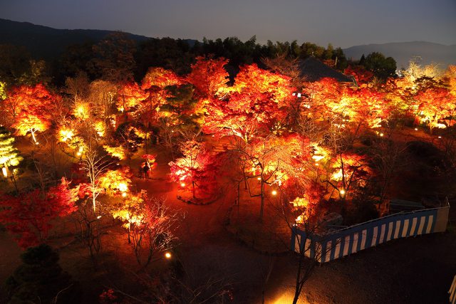 将軍塚大日堂・燃える紅葉