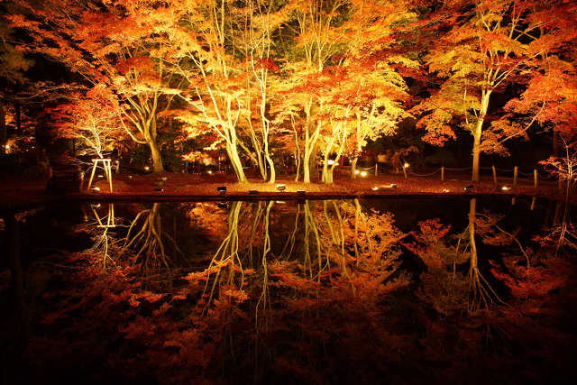 曾木公園逆さ紅葉