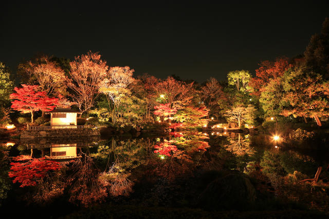 名古屋白鳥庭園ライトアップ