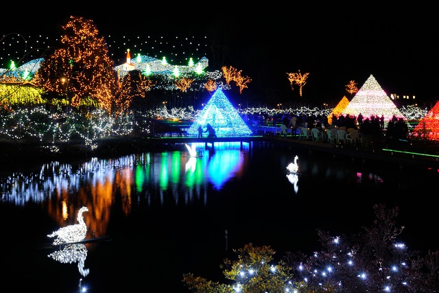 水辺のクリスマスイルミ