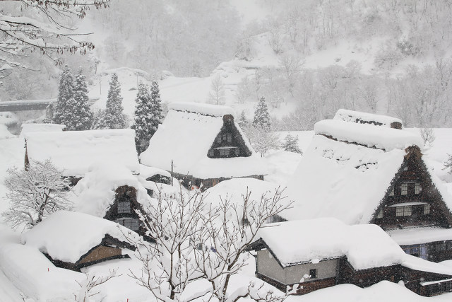 豪雪の世界遺産菅沼合掌造り集落