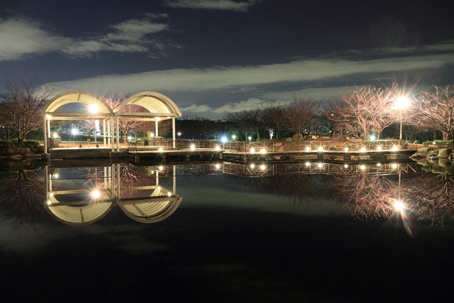 夜の舞州