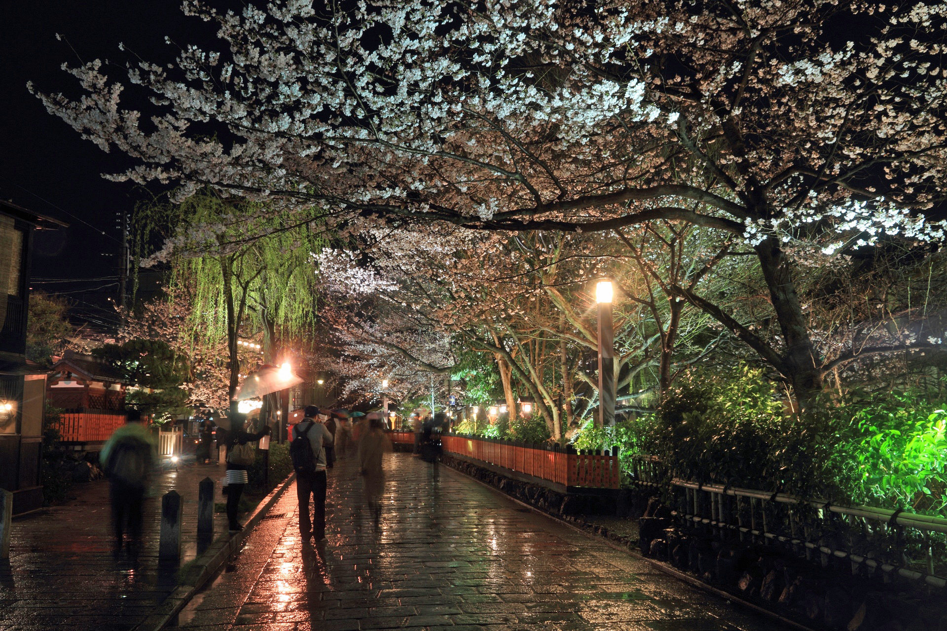 夜景 花火 イルミ 祇園白川ライトアップ 壁紙19x1280 壁紙館