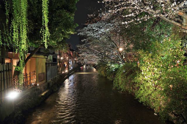 祇園白川・ライトアップ