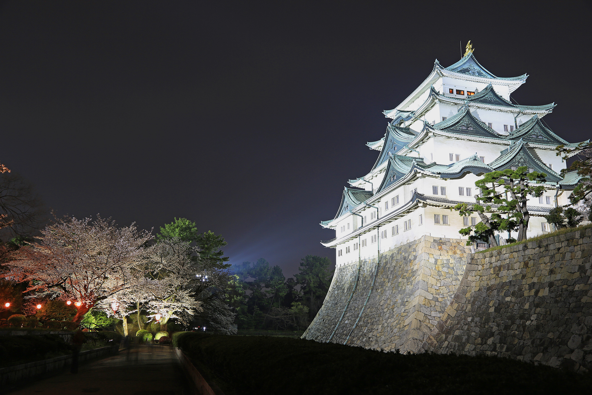 夜景 花火 イルミ 名古屋城の夜桜 壁紙19x1280 壁紙館