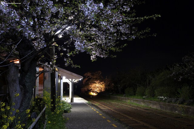 誰もいない駅