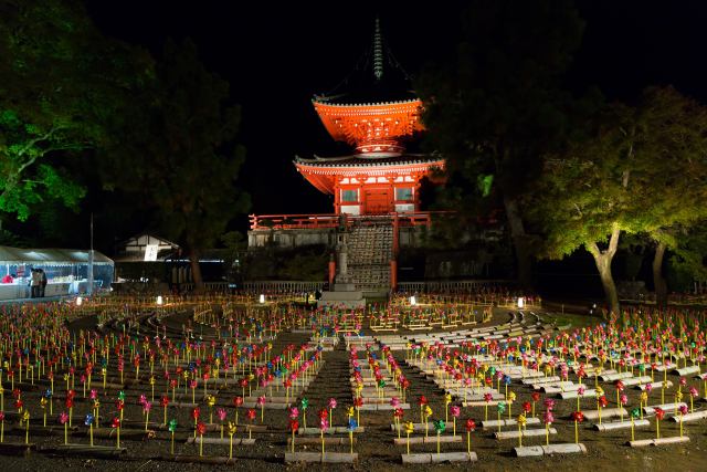 大覚寺・ライトアップ