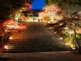 紅葉の神護寺・ライトアップ