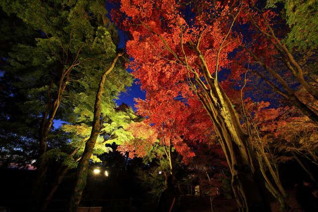 紅葉の京都・笠置山自然公園