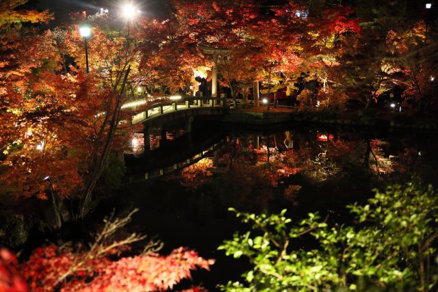 紅葉の永観堂