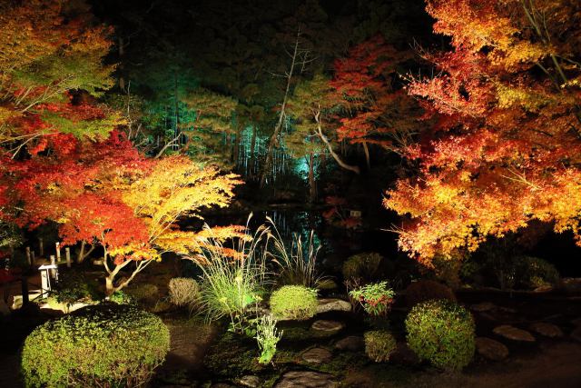 紅葉の京都・天授庵