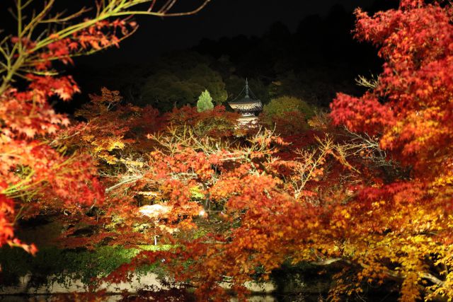 紅葉の京都・永観堂