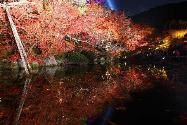 紅葉の京都・清水寺ライトアップ