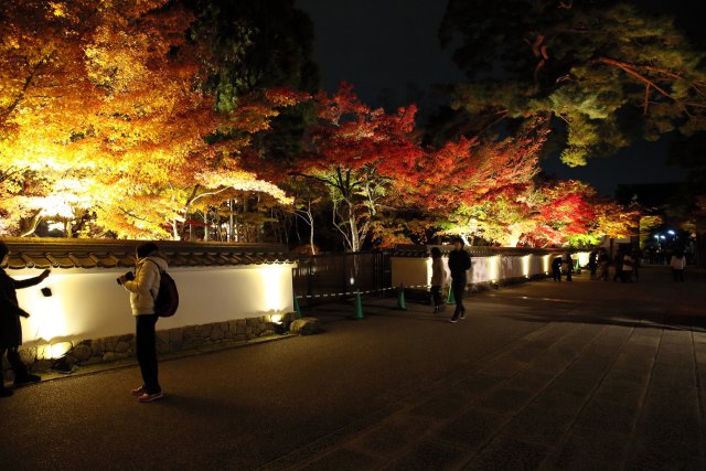 紅葉の京都・永観堂ライトアップ