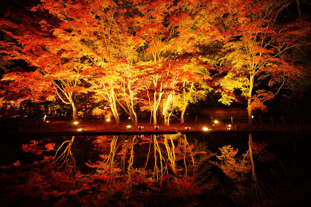 曾木公園の逆さ紅葉