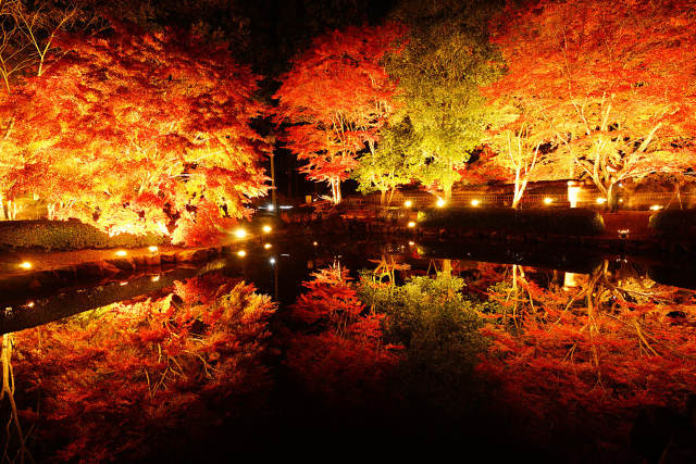 曾木公園の逆さ紅葉2