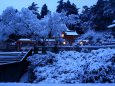 今朝の雪の高良大社