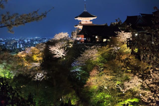 春の清水寺・ライトアップその2