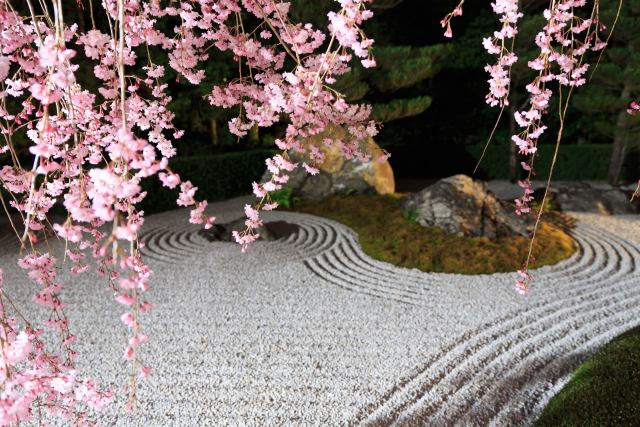 夜の退蔵院・陽の庭