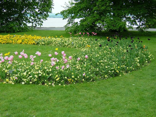 湖畔の花壇