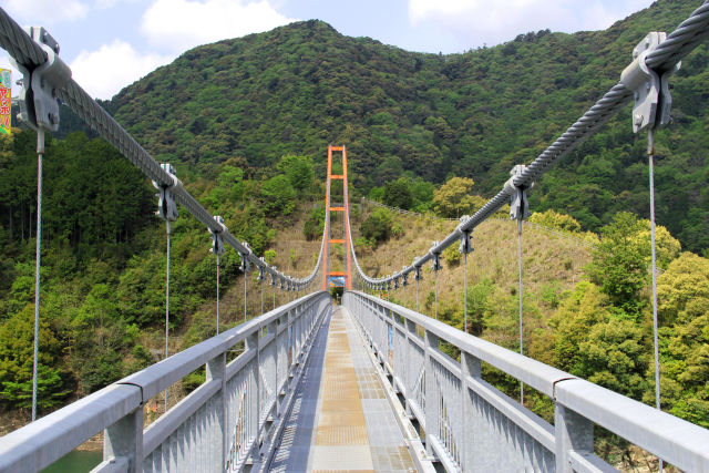 日高川・椿山レイクブリッジ