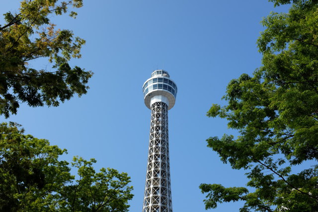 横浜マリンタワー