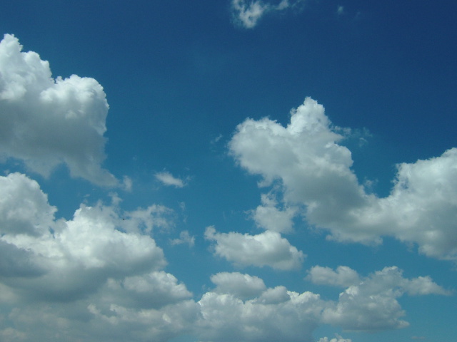 つゆの空