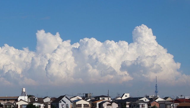 積乱雲 右端に東京スカイツリー