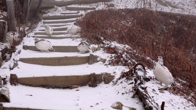 燕山荘へようこそ