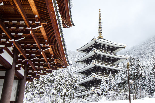 冠雪の大師山清大寺 五重塔