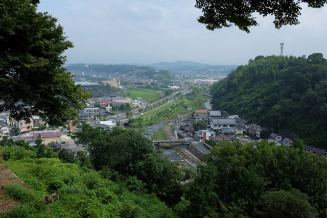 緑の中の津山市街