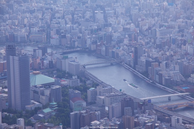 春の隅田川