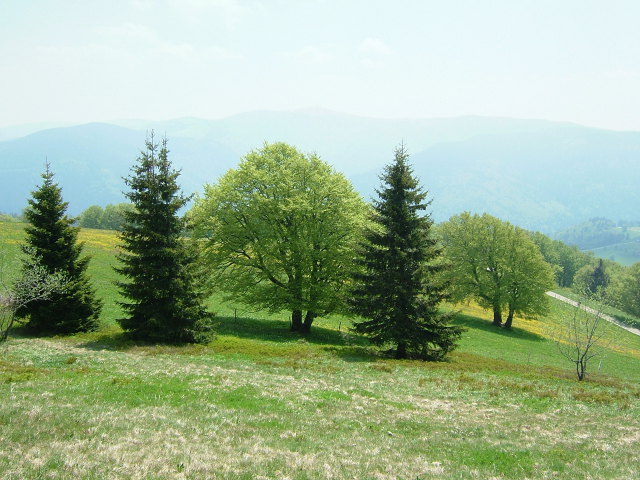 Schauinsland