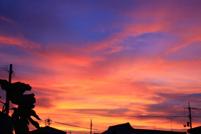 夕焼け