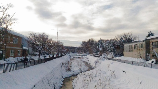 昨日も雪で今日は晴れ