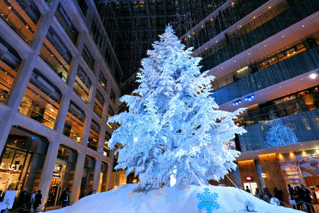 X'mas Tree 2