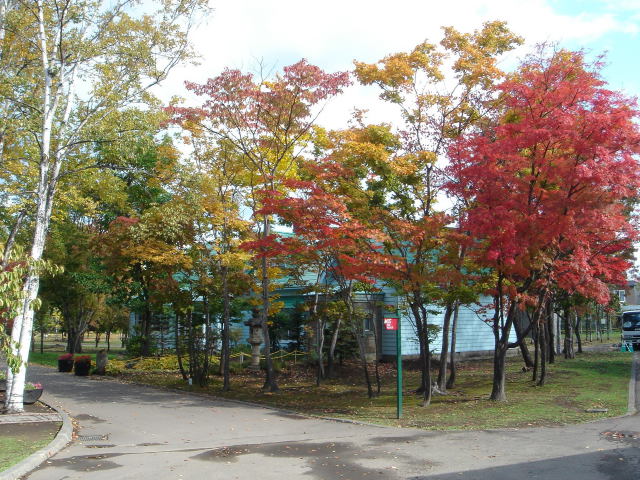 竹鶴邸・秋景