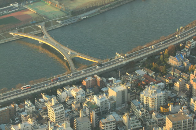 夕陽に照らされる桜橋