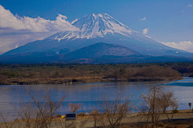 冬枯れの精進湖畔と富士山