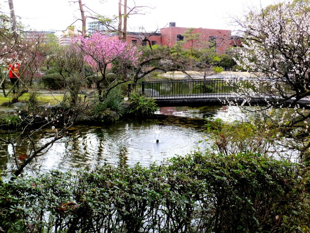 春が来た公園