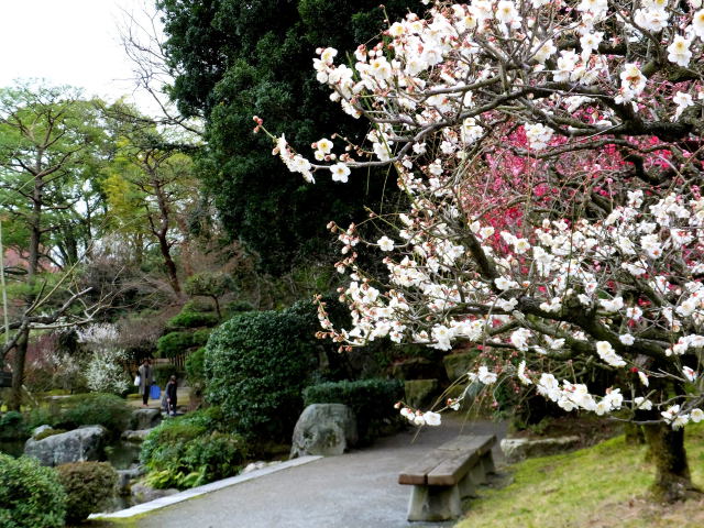 花を見ながら一休み