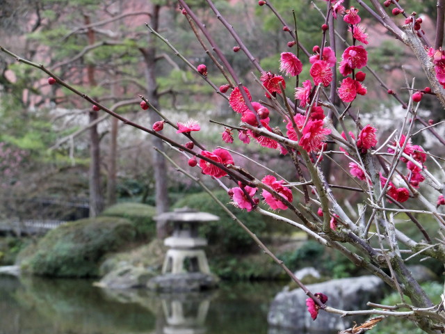 春の息吹