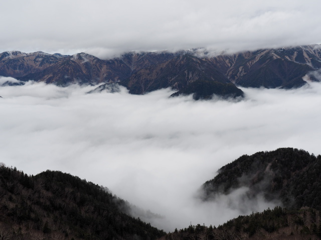 雲海