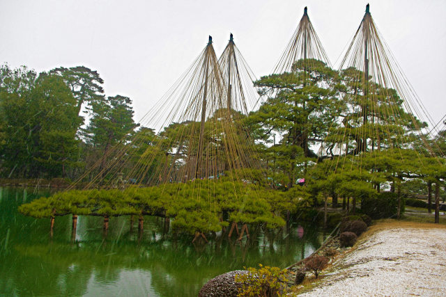 雪の金沢・兼六園 5