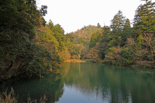 大宮池/樗谿公園