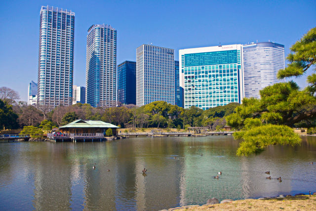 潮入の池と汐留・高層ビル群