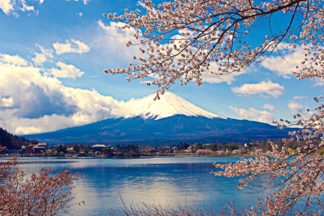 桜の季節はもうすぐ・河口湖